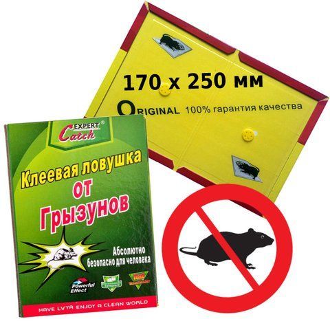 Клейова пастка від гризунів 170 х 250 мм Catch Expert Small 353 124 фото